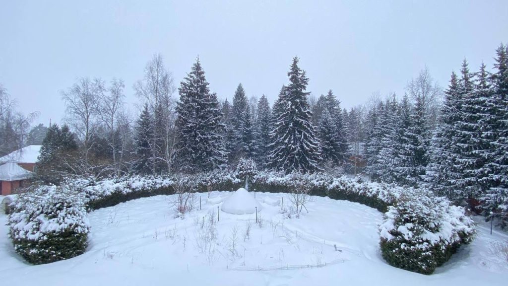 Реабилитация алкоголиков в Балашихе